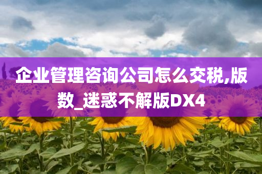 企业管理咨询公司怎么交税,版数_迷惑不解版DX4