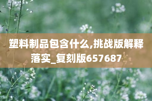 塑料制品包含什么,挑战版解释落实_复刻版657687