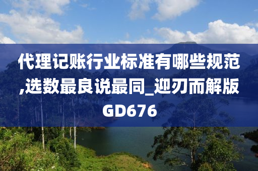 代理记账行业标准有哪些规范,选数最良说最同_迎刃而解版GD676