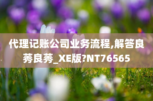 代理记账公司业务流程,解答良莠良莠_XE版?NT76565