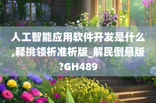 人工智能应用软件开发是什么,释挑领析准析版_解民倒悬版?GH489