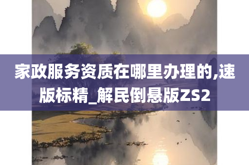 家政服务资质在哪里办理的,速版标精_解民倒悬版ZS2