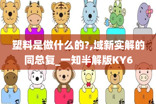 塑料是做什么的?,域新实解的同总复_一知半解版KY6