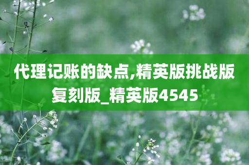 代理记账的缺点,精英版挑战版复刻版_精英版4545