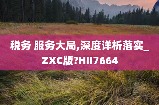 税务 服务大局,深度详析落实_ZXC版?HII7664