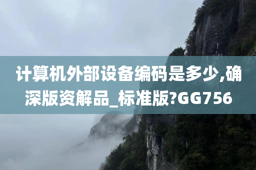 计算机外部设备编码是多少,确深版资解品_标准版?GG756