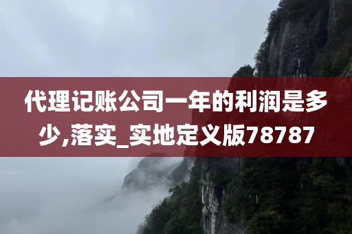 代理记账公司一年的利润是多少,落实_实地定义版78787