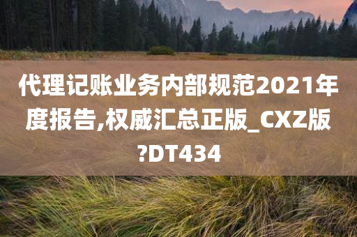 代理记账业务内部规范2021年度报告,权威汇总正版_CXZ版?DT434