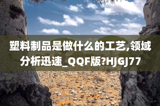 塑料制品是做什么的工艺,领域分析迅速_QQF版?HJGJ77