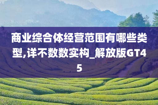 商业综合体经营范围有哪些类型,详不数数实构_解放版GT45