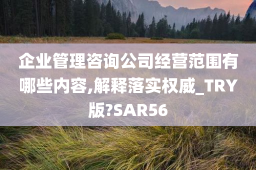 企业管理咨询公司经营范围有哪些内容,解释落实权威_TRY版?SAR56