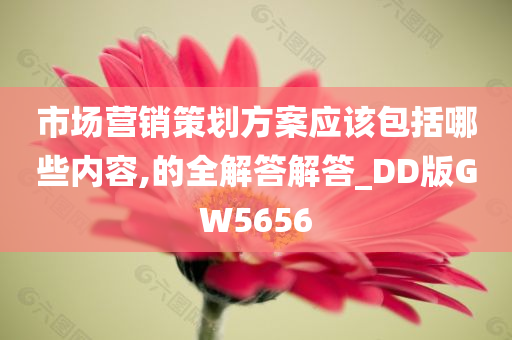 市场营销策划方案应该包括哪些内容,的全解答解答_DD版GW5656