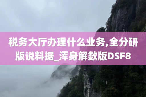 税务大厅办理什么业务,全分研版说料据_浑身解数版DSF8