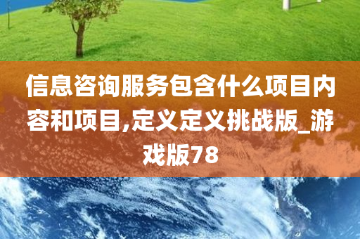 信息咨询服务包含什么项目内容和项目,定义定义挑战版_游戏版78