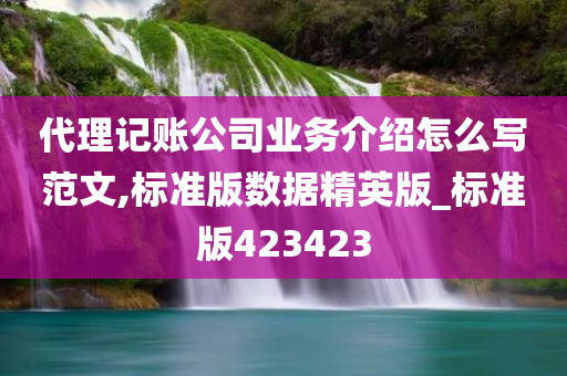 代理记账公司业务介绍怎么写范文,标准版数据精英版_标准版423423