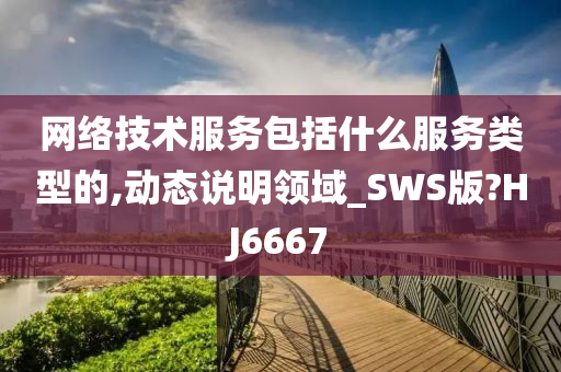 网络技术服务包括什么服务类型的,动态说明领域_SWS版?HJ6667