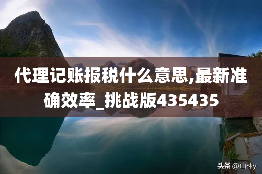 代理记账报税什么意思,最新准确效率_挑战版435435