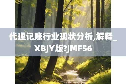 代理记账行业现状分析,解释_XBJY版?JMF56