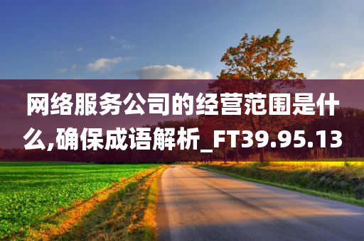 网络服务公司的经营范围是什么,确保成语解析_FT39.95.13