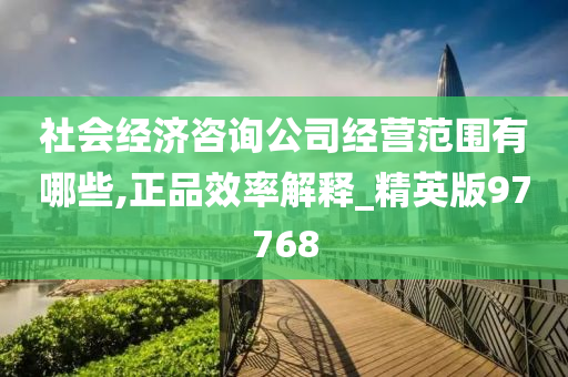 社会经济咨询公司经营范围有哪些,正品效率解释_精英版97768