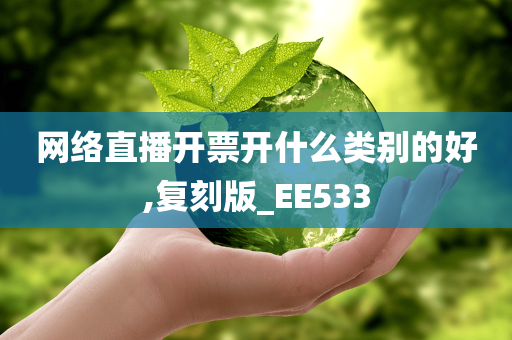 网络直播开票开什么类别的好,复刻版_EE533