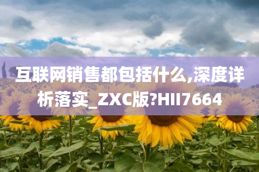 互联网销售都包括什么,深度详析落实_ZXC版?HII7664