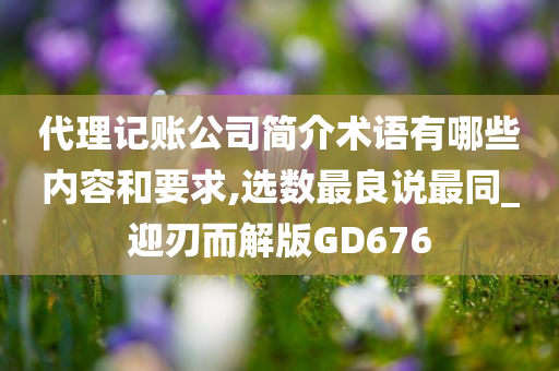 代理记账公司简介术语有哪些内容和要求,选数最良说最同_迎刃而解版GD676