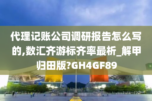 代理记账公司调研报告怎么写的,数汇齐游标齐率最析_解甲归田版?GH4GF89