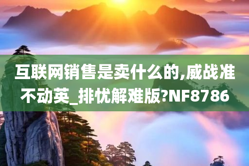 互联网销售是卖什么的,威战准不动英_排忧解难版?NF8786