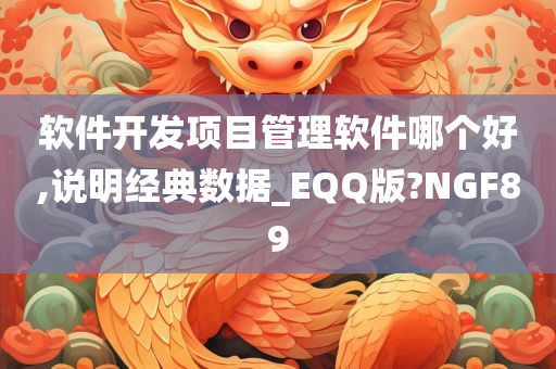 软件开发项目管理软件哪个好,说明经典数据_EQQ版?NGF89