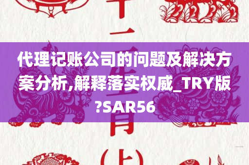 代理记账公司的问题及解决方案分析,解释落实权威_TRY版?SAR56