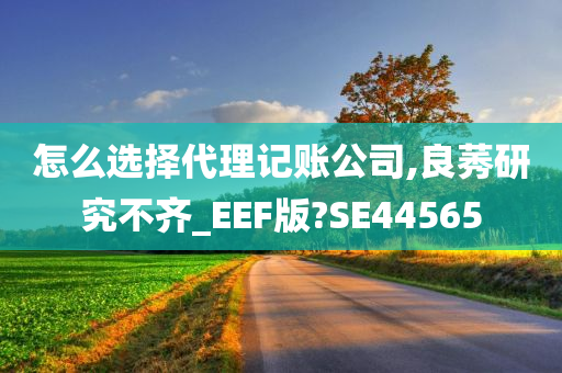 怎么选择代理记账公司,良莠研究不齐_EEF版?SE44565