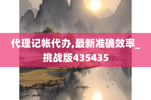 代理记帐代办,最新准确效率_挑战版435435