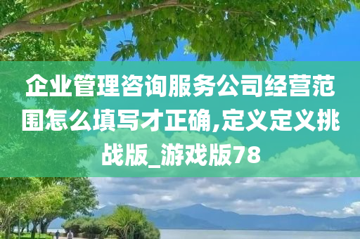 企业管理咨询服务公司经营范围怎么填写才正确,定义定义挑战版_游戏版78