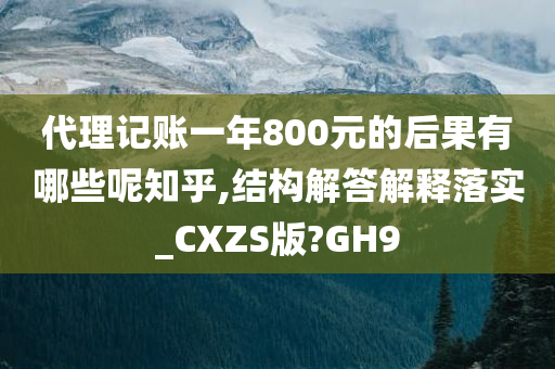 代理记账一年800元的后果有哪些呢知乎,结构解答解释落实_CXZS版?GH9