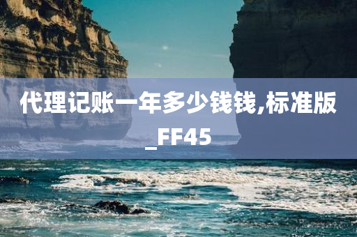 代理记账一年多少钱钱,标准版_FF45