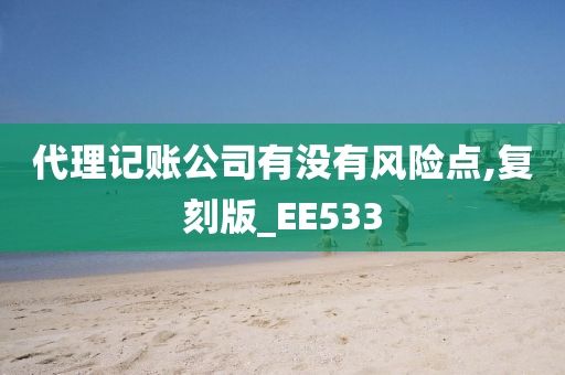 代理记账公司有没有风险点,复刻版_EE533