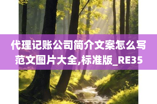 代理记账公司简介文案怎么写范文图片大全,标准版_RE35