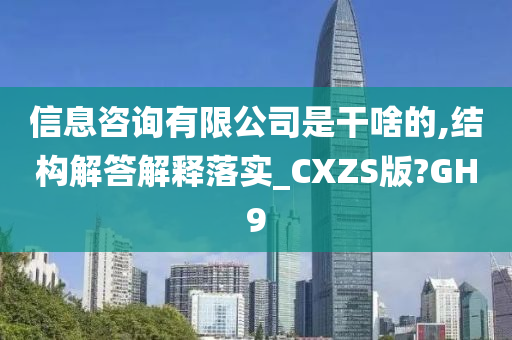 信息咨询有限公司是干啥的,结构解答解释落实_CXZS版?GH9