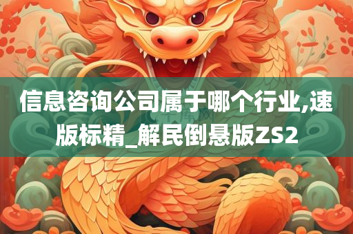 信息咨询公司属于哪个行业,速版标精_解民倒悬版ZS2