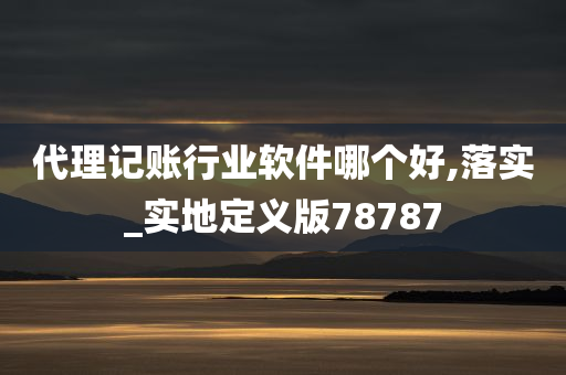 代理记账行业软件哪个好,落实_实地定义版78787