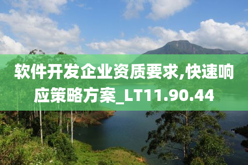 软件开发企业资质要求,快速响应策略方案_LT11.90.44