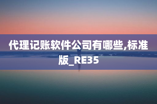 代理记账软件公司有哪些,标准版_RE35