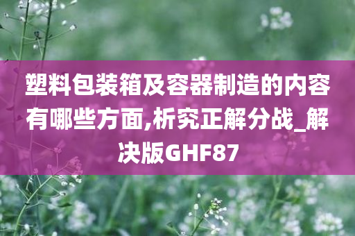 塑料包装箱及容器制造的内容有哪些方面,析究正解分战_解决版GHF87