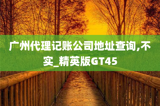 广州代理记账公司地址查询,不实_精英版GT45