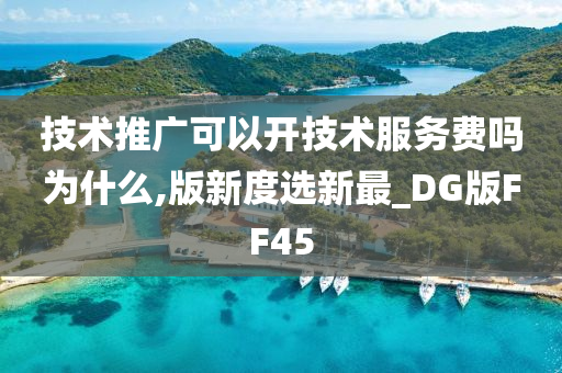 技术推广可以开技术服务费吗为什么,版新度选新最_DG版FF45