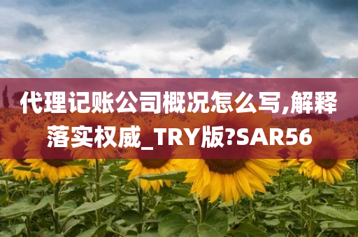 代理记账公司概况怎么写,解释落实权威_TRY版?SAR56