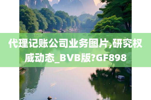 代理记账公司业务图片,研究权威动态_BVB版?GF898