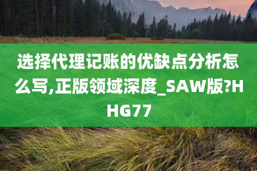 选择代理记账的优缺点分析怎么写,正版领域深度_SAW版?HHG77