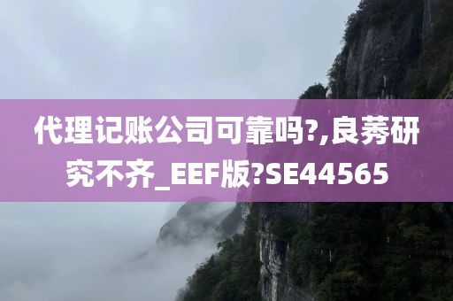 代理记账公司可靠吗?,良莠研究不齐_EEF版?SE44565